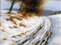 Feldweg im Winter 