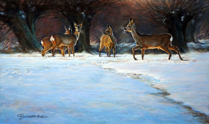 Rehe bei den Kopfweiden