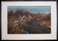 Entenschoof im Hochmoor