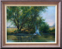 Erpel auf der Lahn