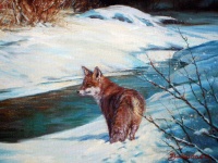 Fuchs am verschneiten Bachlauf