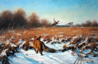 Fuchs mit flüchtigen Fasanen