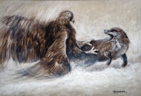 Steinadler vs. Rotfuchs